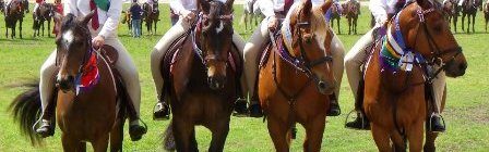Willawarrin Pony Club